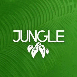 photo of Jungle Club 